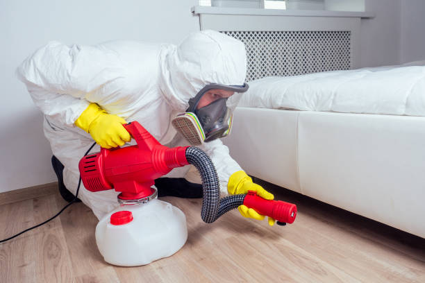 Best Fumigation Services  in Arbury Hls, IL